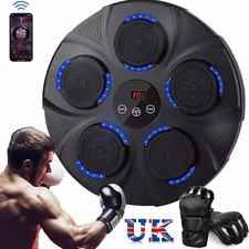 SMART PUNCHING BOXING