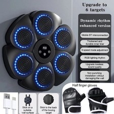 Smart Punching Boxing Training