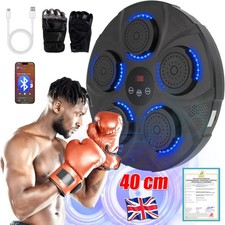 Smart Punching Boxing Training