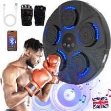 Smart Punching Boxing Training