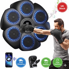 Smart Punching Boxing Training